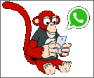 Marketing - Mounkey EIRL
